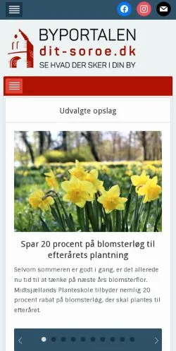 Anteprima del sito Dit Sorø, media di Danimarca per articoli sponsorizzati