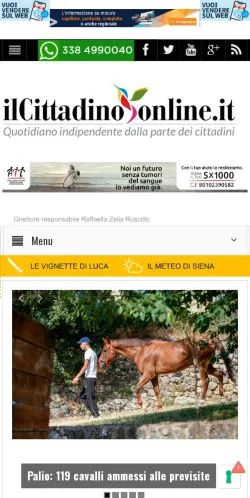 Anteprima del sito Il Cittadino Online, media di Italia per articoli sponsorizzati