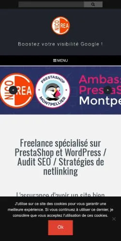 Anteprima del sito Creanico, media di Francia per articoli sponsorizzati