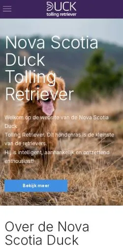 Anteprima del sito Nova Scotia Toller, media di Paesi Bassi per articoli sponsorizzati