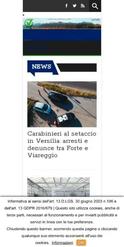 Anteprima del sito Viareggino, media di Italia per articoli sponsorizzati
