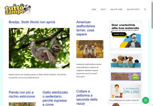 Anteprima del sito Tutto Zampe, media di Italia per articoli sponsorizzati