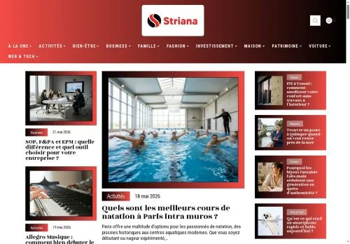 スポンサード記事向けのフランスメディア、Strianaのサイトプレビュー
