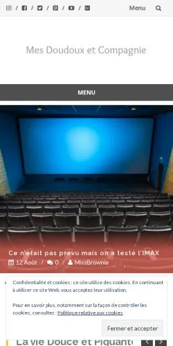 Podgląd witryny Mes Doudoux et Compagnie, medium z kraju Francja do artykułów sponsorowanych