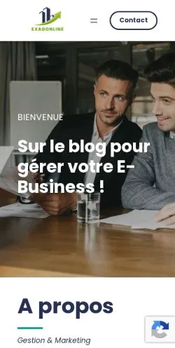 Vorschau der Website Exagonline, Medium aus Frankreich für gesponserte Artikel