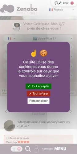 Preview of the Zenaba website, a media outlet in France for sponsored articles