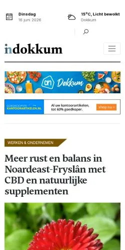 Anteprima del sito In Dokkum, media di Paesi Bassi per articoli sponsorizzati