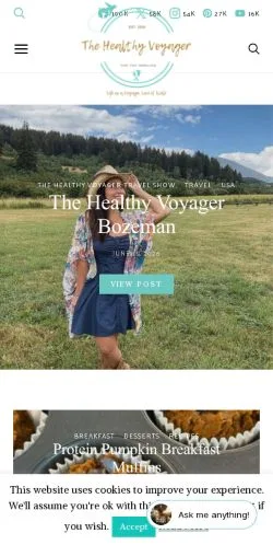 Anteprima del sito The Healthy Voyager, media di Stati Uniti per articoli sponsorizzati