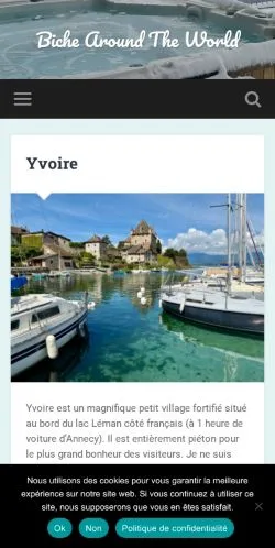 Anteprima del sito Biche Around The World, media di Francia per articoli sponsorizzati