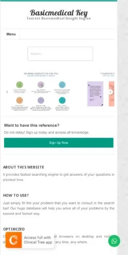 スポンサード記事向けのアメリカ合衆国メディア、Basicmedical Keyのサイトプレビュー