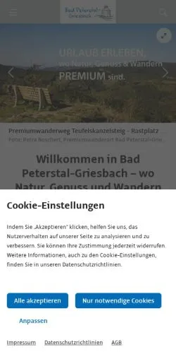 Anteprima del sito Bad Peterstal-Griesbach, media di Germania per articoli sponsorizzati