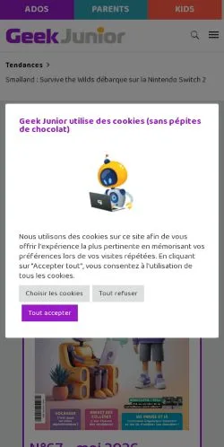 Podgląd witryny Geek Junior, medium z kraju Francja do artykułów sponsorowanych
