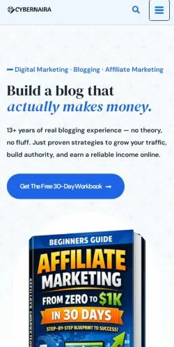 Sponsorlu makaleler için Amerika Birleşik Devletleri medyası CyberNaira Blogging sitesinin önizlemesi
