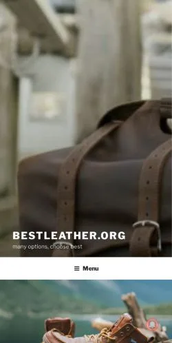 Anteprima del sito BestLeather, media di Stati Uniti per articoli sponsorizzati