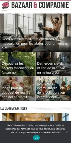 Anteprima del sito Bazaar & Compagnie, media di Francia per articoli sponsorizzati