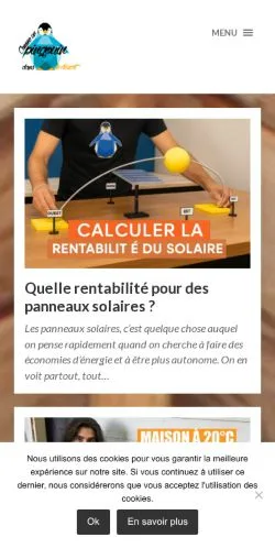 Anteprima del sito Pingouin Dans Le Désert, media di Francia per articoli sponsorizzati