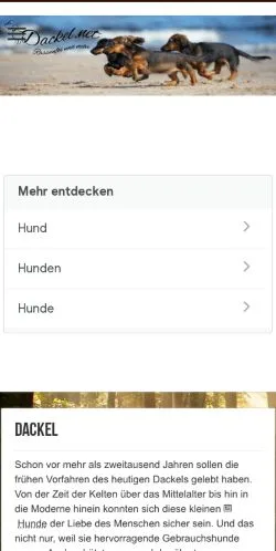 Forhåndsvisning af Dackel, medie fra Tyskland til sponsorerede artikler