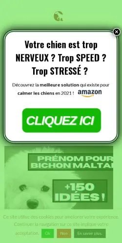 Anteprima del sito Le Meilleur Chien, media di Francia per articoli sponsorizzati