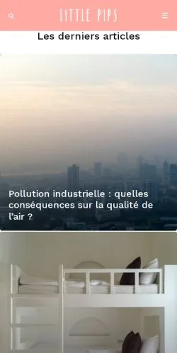Anteprima del sito Ecosocio Systemes, media di Francia per articoli sponsorizzati