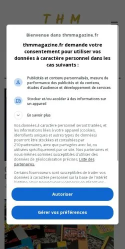 スポンサード記事向けのフランスメディア、THM Magazineのサイトプレビュー