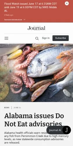 Sponsorlu makaleler için Fransa medyası Luvernejournal sitesinin önizlemesi
