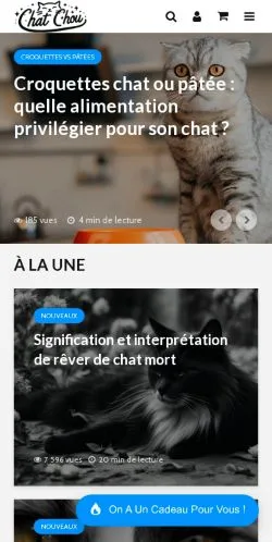 Voorbeeld van de site Chat Chou, medium uit Frankrijk voor gesponsorde artikelen