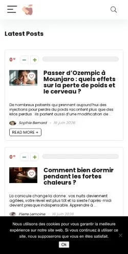 Sponsorlu makaleler için Fransa medyası Blune Paris sitesinin önizlemesi