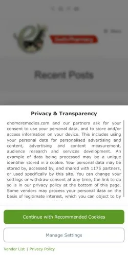 Anteprima del sito eHome Remedies -, media di Stati Uniti per articoli sponsorizzati