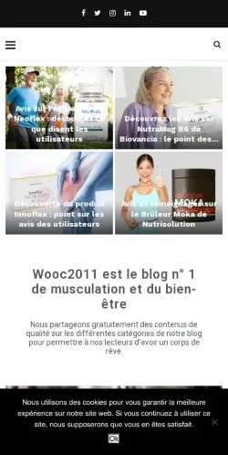 Anteprima del sito WOOC 2011, media di Francia per articoli sponsorizzati