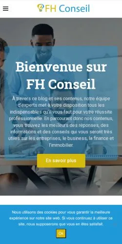 Anteprima del sito FH Conseil, media di Francia per articoli sponsorizzati