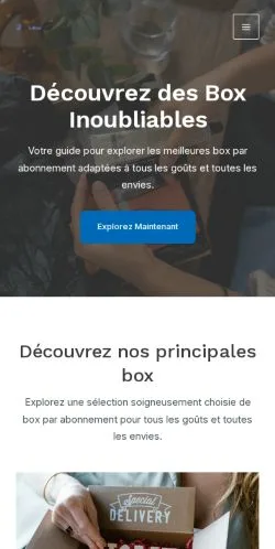 Podgląd witryny Box Ludique, medium z kraju Francja do artykułów sponsorowanych