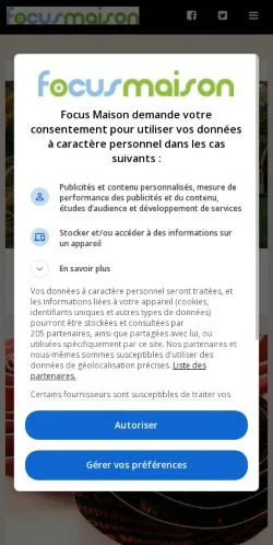 Vorschau der Website Focus Maison, Medium aus Frankreich für gesponserte Artikel