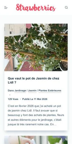 Anteprima del sito Strawberries, media di Francia per articoli sponsorizzati