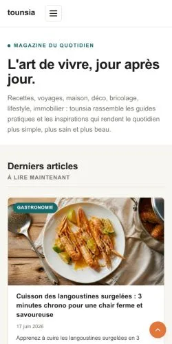 Anteprima del sito Tounsia, media di Francia per articoli sponsorizzati