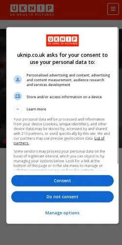Anteprima del sito UKNIP, media di Regno Unito per articoli sponsorizzati