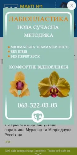 Vorschau der Website Kharkiv 057, Medium aus Ukraine für gesponserte Artikel