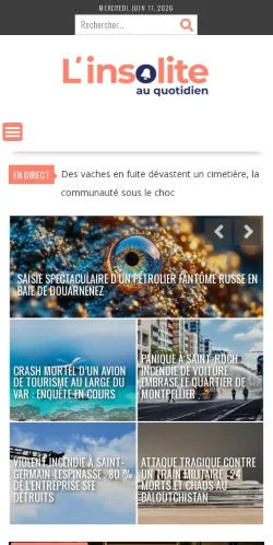 Podgląd witryny L'insolite Au Quotidien -, medium z kraju Francja do artykułów sponsorowanych
