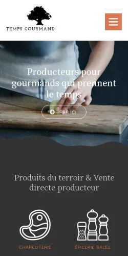 Vista previa del sitio Temps Gourmand, medio de Francia para artículos patrocinados