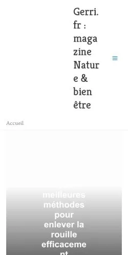 Vorschau der Website Gerri, Medium aus Frankreich für gesponserte Artikel