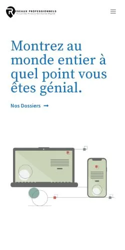 Anteprima del sito Réseaux Professionnels, media di Francia per articoli sponsorizzati