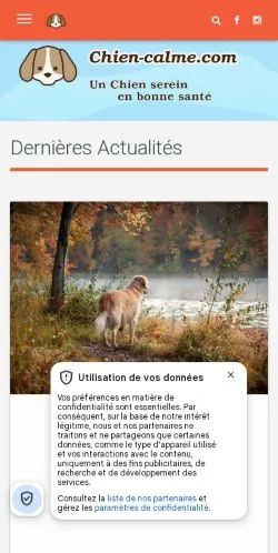 Anteprima del sito Chien Calme, media di Francia per articoli sponsorizzati