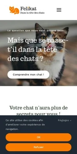 Anteprima del sito Felikat, media di Francia per articoli sponsorizzati