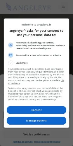 Anteprima del sito Angeleye, media di Francia per articoli sponsorizzati
