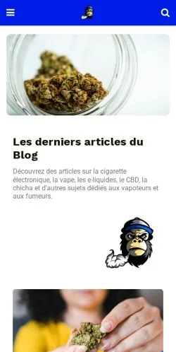 Anteprima del sito Recharge cigarette Electronique, media di Francia per articoli sponsorizzati