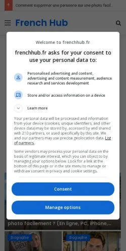 Anteprima del sito French Hub, media di Francia per articoli sponsorizzati
