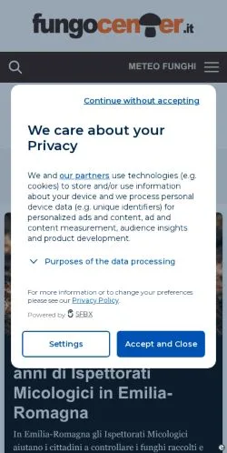 スポンサード記事向けのイタリアメディア、FungoCenterのサイトプレビュー