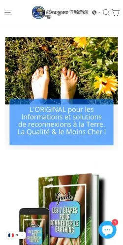 Anteprima del sito Chargeur Terre, media di Francia per articoli sponsorizzati