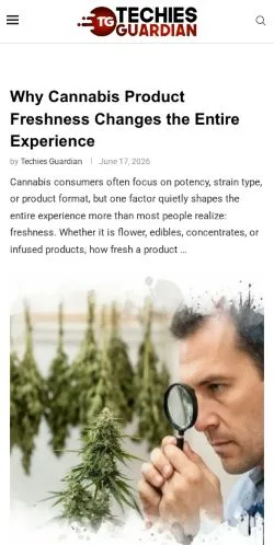 Preview of the Techies Guardian website, a media outlet in United States for sponsored articles