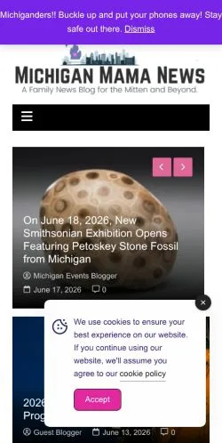 Podgląd witryny Michigan Mama News -, medium z kraju Stany Zjednoczone do artykułów sponsorowanych