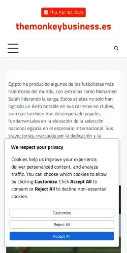 Anteprima del sito The Monkey Business, media di Spagna per articoli sponsorizzati